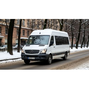 ARIVO WINMASTER ARW6. Обзор шин с оптимизированным расположением блоков для торможения на снегу